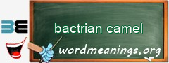 WordMeaning blackboard for bactrian camel